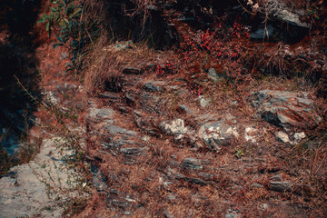 Stone mountain texture background. red