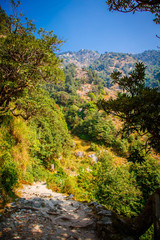 Fototapeta na wymiar Indian magic Himalayas mountains in Dharamshala Treck to Triud. Himachal Pradesh