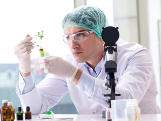 Biotechnology concept with scientist in lab