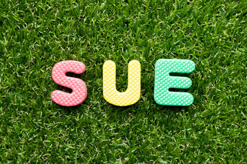 Toy foam letter in word sue on green grass background
