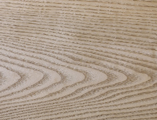 ゴールデンアッシュ板目