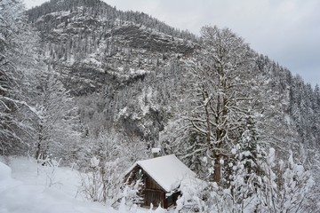 The lake of Hallstatt in the mountains, Austria. Winter view from the top.