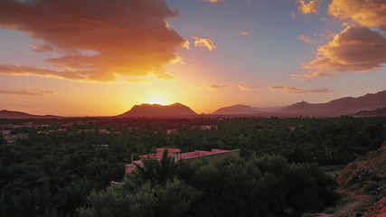 Obraz premium Desert oasis 