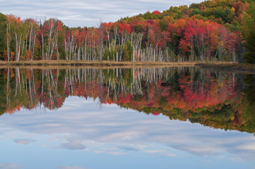 Autumn landscape of Council Lake with reflections of trees and clouds in calm water, Hiawatha National Forest, Michigan's Upper Peninsula, USA