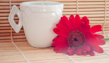 red flower and white cup on a structural background