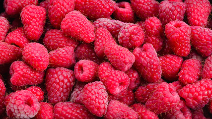 Raspberry in black container isolated on white background.