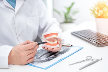 Doctor holding teeth model, medical consultation