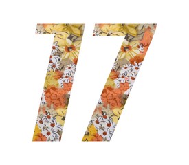Number 17 with flowered fabric texture on white background.