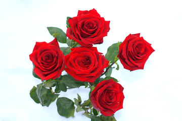 bouquet of red roses isolated on white background