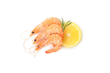 Shrimps with rosemary and lemon isolated on white background
