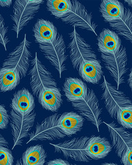 Detailed peacock feathers blue pattern