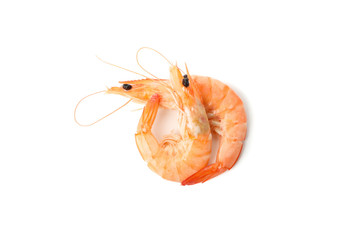 Delicious shrimps isolated on white background. Seafood