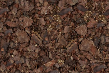 Seamless Texture - Wood Mulch 002