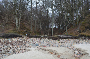 Baltic beach in november