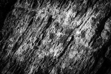 Grunge Black And White Urban Texture
