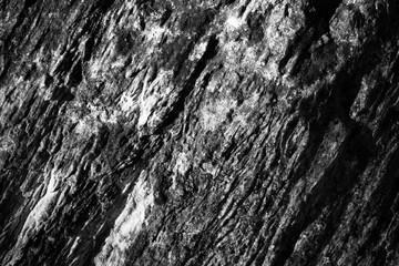 Grunge Black And White Urban Texture