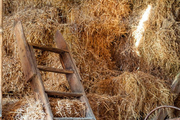 Haystack and ladder in the old barn