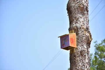 wooden birdhouse for birds on a tree