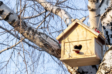 Birdhouse with heart shaped opening on birch tree in early spring