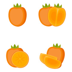 Persimmon, whole fruit, half, slice, vector illustration