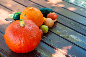 Natural pumpkins and other autumn vegetables on the wooden table. Sunny summer day.