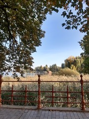 wooden fence in the park