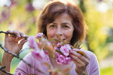 Beautiful senior woman standing outside in spring nature. Copy space.