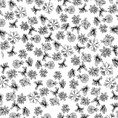 seamless floral pattern