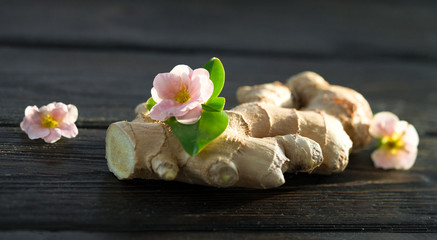 Fototapeta na wymiar Ginger root sliced on wooden background
