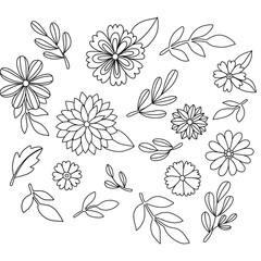 seamless floral pattern