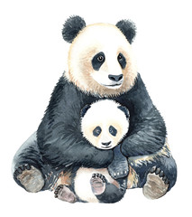 Watercolor Mom and Baby for Baby shower, POD, Panda digital file Panda watercolor, clipping path isolated on white background.