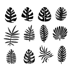 Exotic palm leaves monochrome silhouette illustrations set