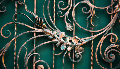 Details of structure and ornaments of wrought iron fence and gate