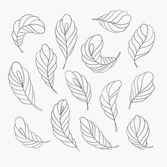 seamless pattern with leaves