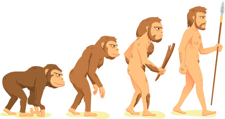 human evolution