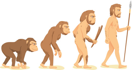 human evolution