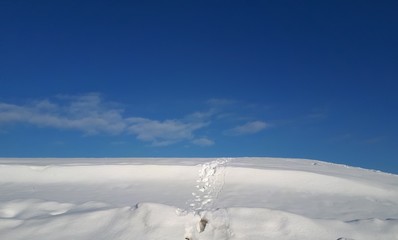 Fototapeta na wymiar Footprints in snow over a hill