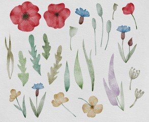 seamless background with tulips