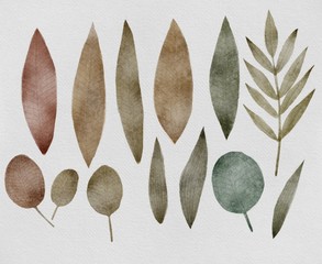 autumn leaves on white background