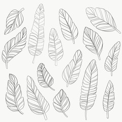 seamless pattern with feathers 