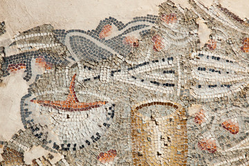 First century Mosaics from Israel