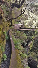Madère, croisée de levada au risco