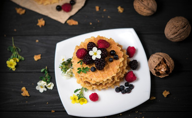 Fresh viennese waffles with berries on blank background