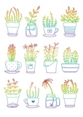 set of plants and plants in pots