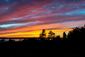 Obraz premium Beautiful pink and orange sky with silhouettes of trees