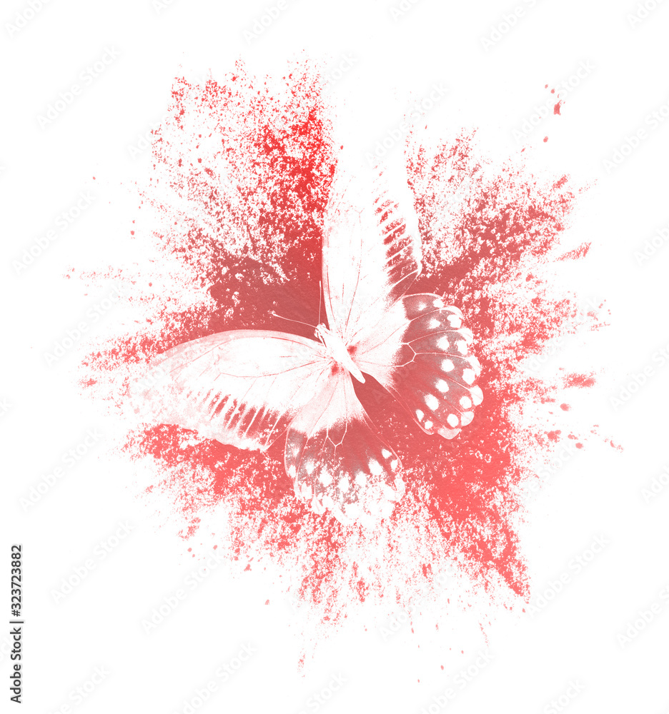 Poster color paint splashes with butterfly isolated on a white background. print for the designer