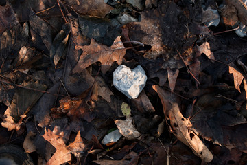Herz Stein Laub
