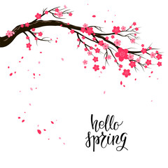 Cartoon cherry or sakura blossom branch