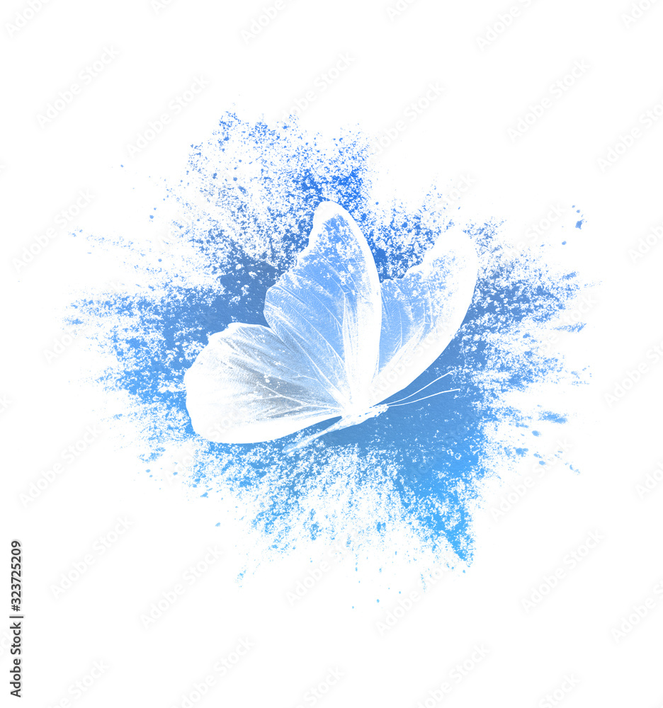 Poster color paint splashes with butterfly isolated on a white background. print for the designer