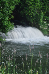 Waterfall in forest